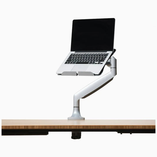 Spinew High Capacity Monitor + Laptop Cradle Arm